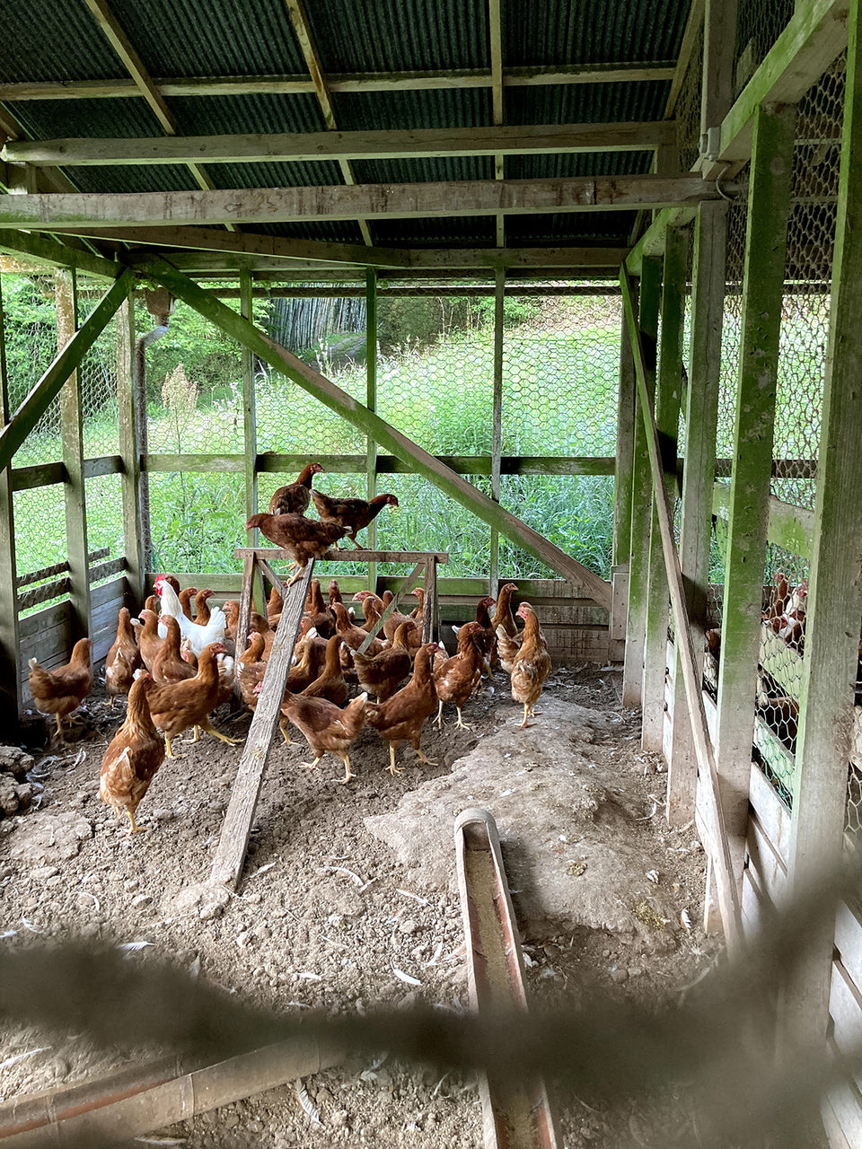 Ogasawara Farm / 小笠原ファーム