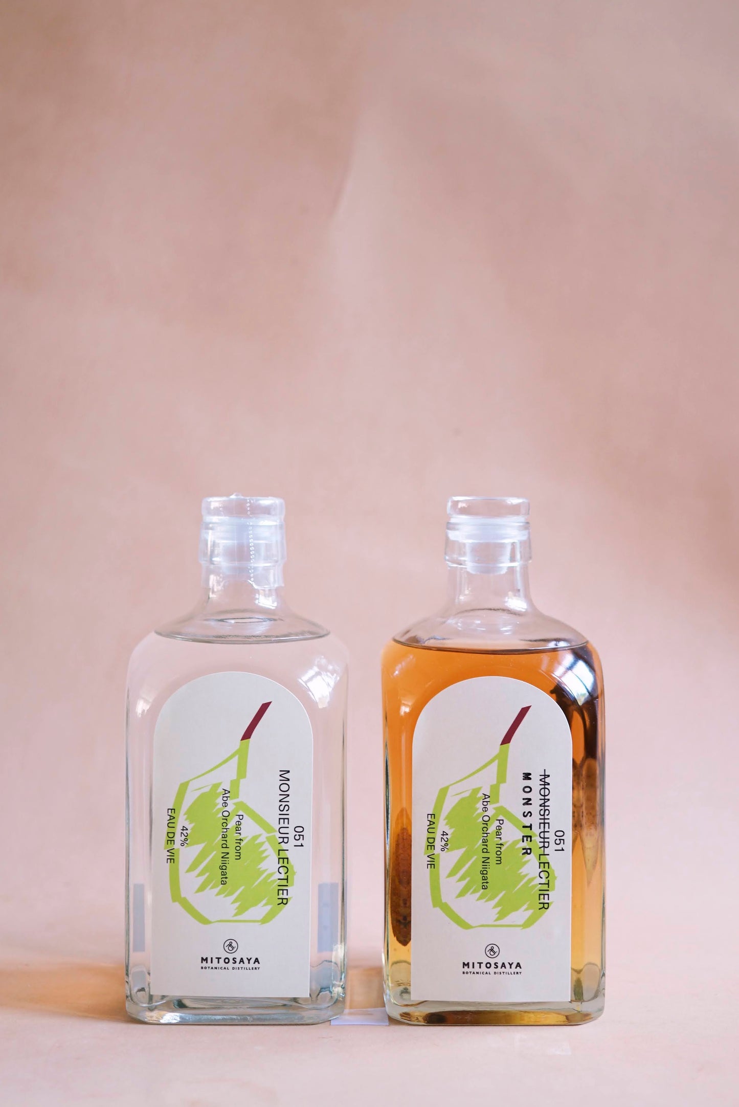 051 MONSIEUR LECTIER(2023)