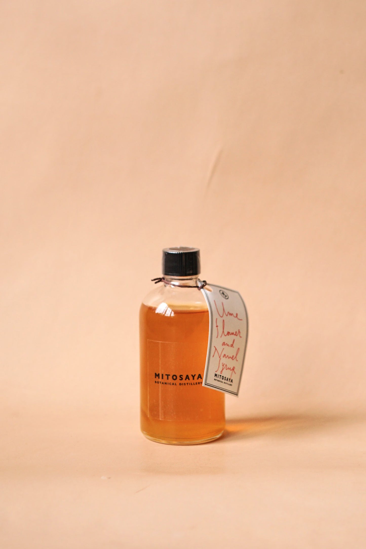 UME FLOWER AND NAVEL SYRUP / 梅の花とネーブルのシロップ