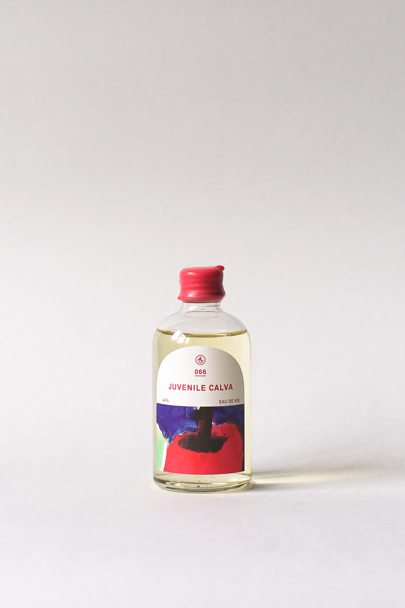 066 JUVENILE CALVA
