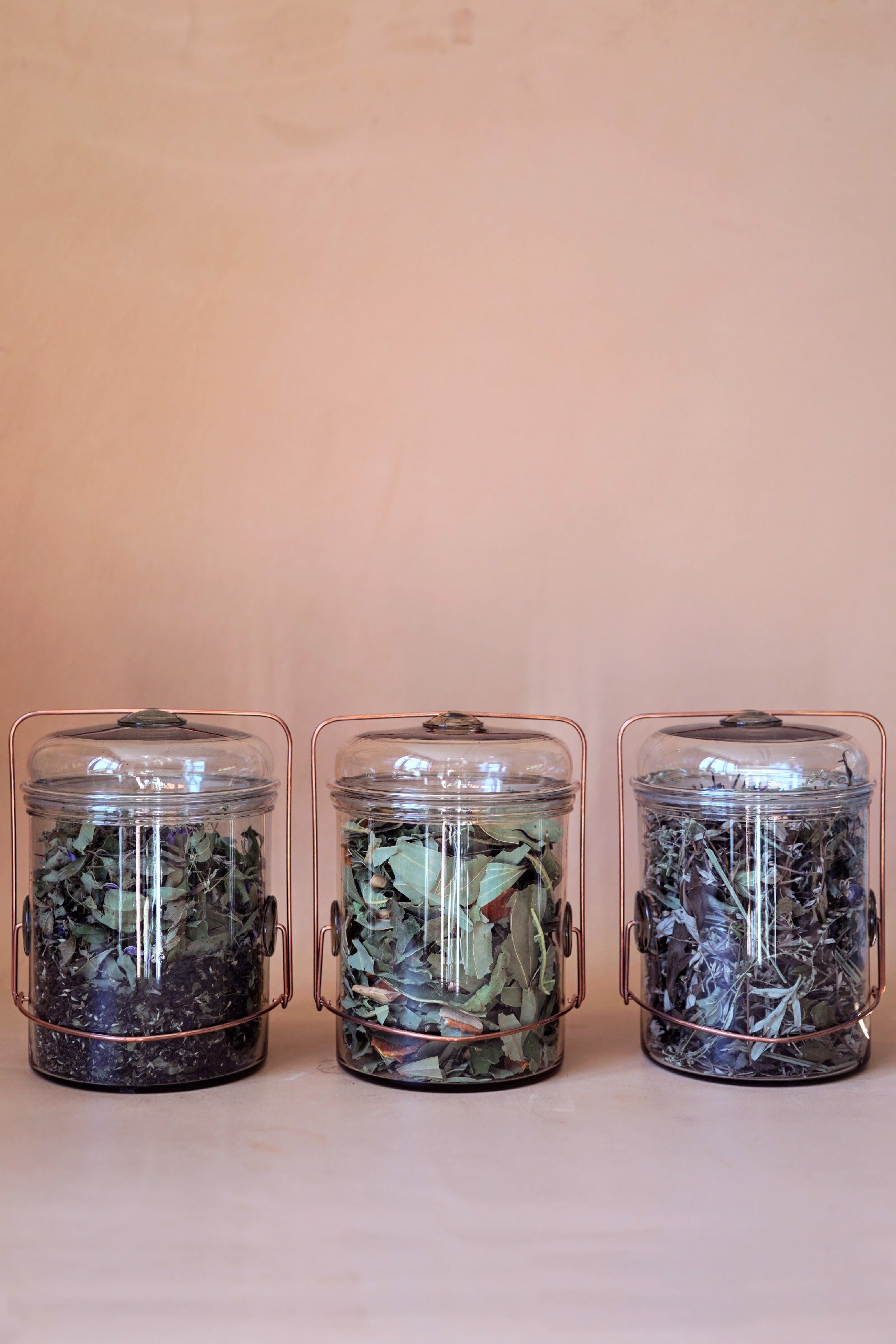 PETER IVY' Coffee Jar with SPECIAL BLEND TEA