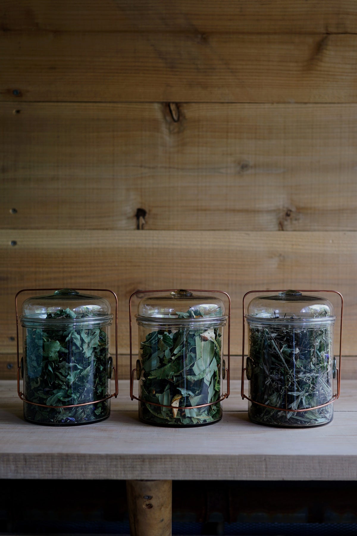 PETER IVY' Coffee Jar with Special Blend Tea – mitosaya botanical 