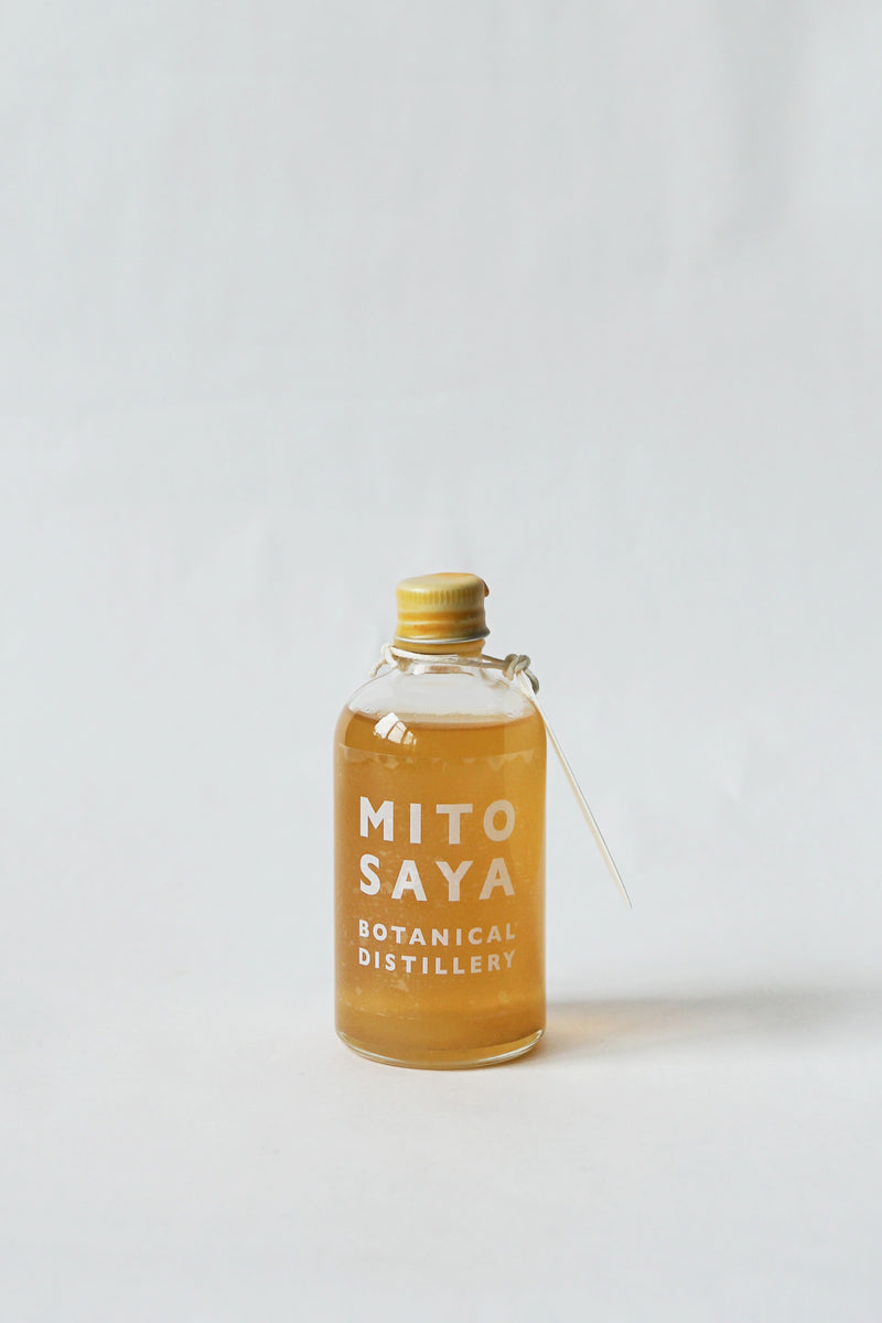GARDEN GINGER SYRUP / 庭のジンジャーシロップ